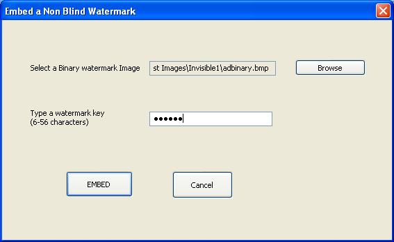 invisible_embed_parameters.JPG